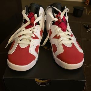 Air Jordan 6 retro